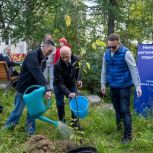На территории Пустозерского дома-интерната высадили плодоносные деревья и кустарники