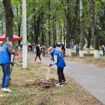 «Единая Россия» провела субботники в Калужской и Курской областях