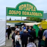 Ярмарка товаров местных производителей «Выбирай своё» прошла в Котовске