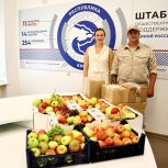 Депутат-единоросс Госсовета Крыма Анна Рубель передала лекарственные препараты и освещенные фрукты бойцам СВО