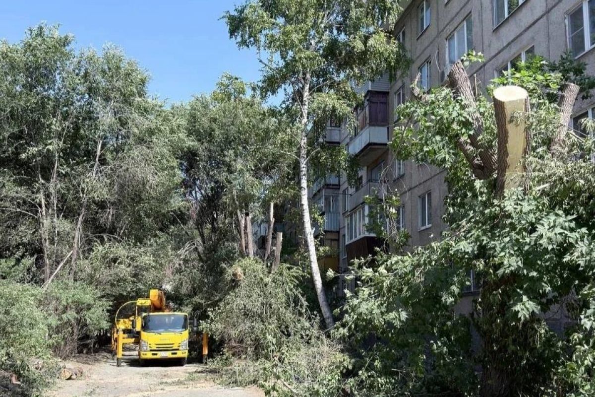 В Орске на бульваре по просьбе жителей устанавливают освещение
