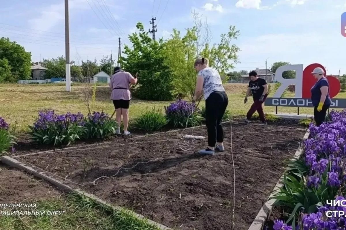 Чистая страна: Белгородчина преображается благодаря субботникам