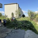 В Кыштыме прошёл субботник на территории Центральной городской больницы