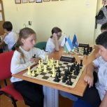 В Гафурийском районе Башкортостана при участии «Единой России» прошёл шахматный турнир в честь бойцов СВО