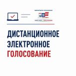 Стартовал прием заявлений на участие в дистанционном электронном голосовании