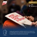 Чувашия заняла первое место в России по устойчивости системы микрофинансовой поддержки предпринимателей!