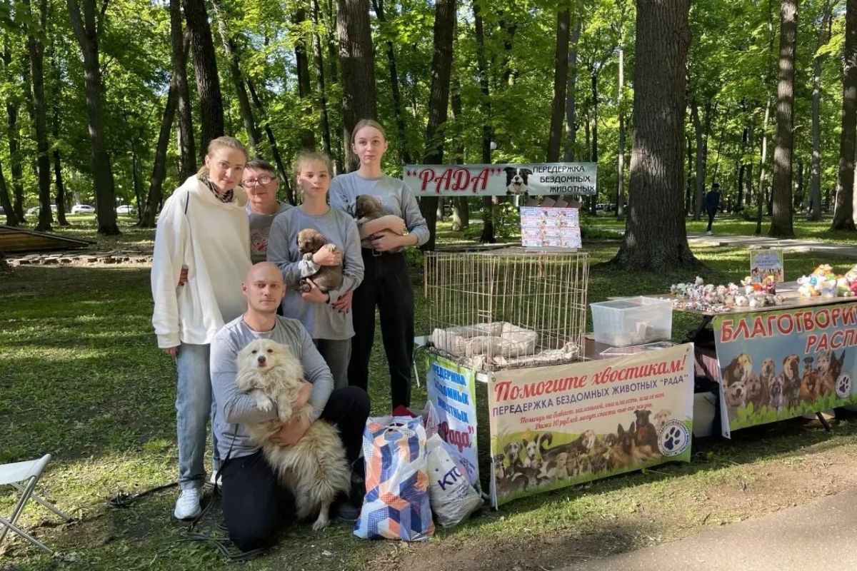 В Пензенской области помогают бездомным животным найти новый дом