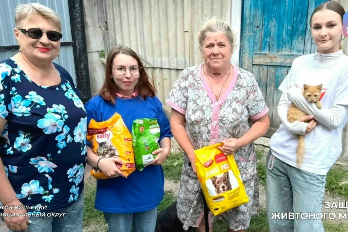 Забота о братьях меньших: Новооскольские активисты передали корм для бездомных животных