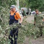 В Бузулуке устраняют последствия урагана
