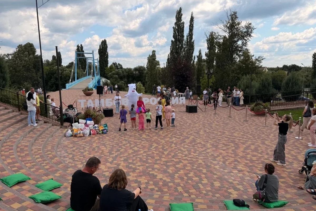 Тамбовские партийцы собрали около 300 килограммов корма для бездомных животных