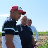 Игорь Мартынов посетил предприятие «Мастер семя»