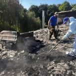 К волонтёрскому лагерю «Единой России» «Курский рубеж» присоединилась команда палаты молодых законодателей при Совфеде
