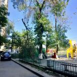 Депутат Наталья Давыдова добилась ликвидации опасного объекта на улице Орбитальной