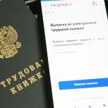 Число обладателей электронных трудовых книжек в России выросло на 3,6 миллиона