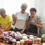 В Катав-Ивановском округе состоялась встреча с серебряными волонтёрами