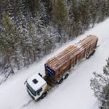 Поправки «Единой России» в Лесной кодекс сделают сферу оборота древесины более прозрачной