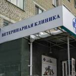 В «Единой России» считают нецелесообразным запрет на размещение ветклиник в жилых домах