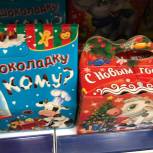 Сергей Потемкин передал новогодние подарки жителям его округа