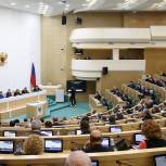 Сенаторы одобрили закон «Единой России» о запрете продажи «веселящего газа»