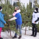 Данковским врачам передали елки к новому году