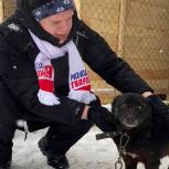 Кемеровскому приюту для бездомных животных привезли корма