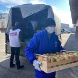 В канун Нового года волонтеры передали фрукты в ковид-госпитали