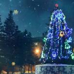 По просьбам рубцовчан единороссы установят новогоднюю ёлку в сквере Победы