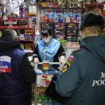 Народные контролеры выявили нарушения при продаже пиротехники в Омске