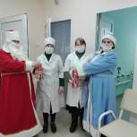 В Елембаевском ФАПе Новоторъяльского района побывали Дед Мороз И Снегурочка