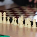 В Курганской области стартовал десятый региональный фестиваль «Папа + Мама + Школа + Я = Шахматная семья»