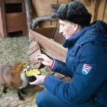 «Единая Россия» помогла приюту для животных в Пскове
