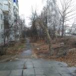 Денис Желиховский помог благоустроить тротуар возле жилого дома