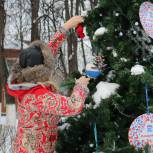 В Рязани украсили хвойные деревья у больницы № 11 и имени Семашко