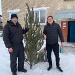 Алексей Чирков приобрел для  многодетных семей Варненского района ёлки