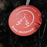 Федеральные депутаты исполняют мечты в рамках акции «Ёлка желаний»