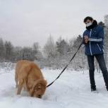 Волонтёры «Единой России» продолжают помогать тверскому приюту для бездомных животных