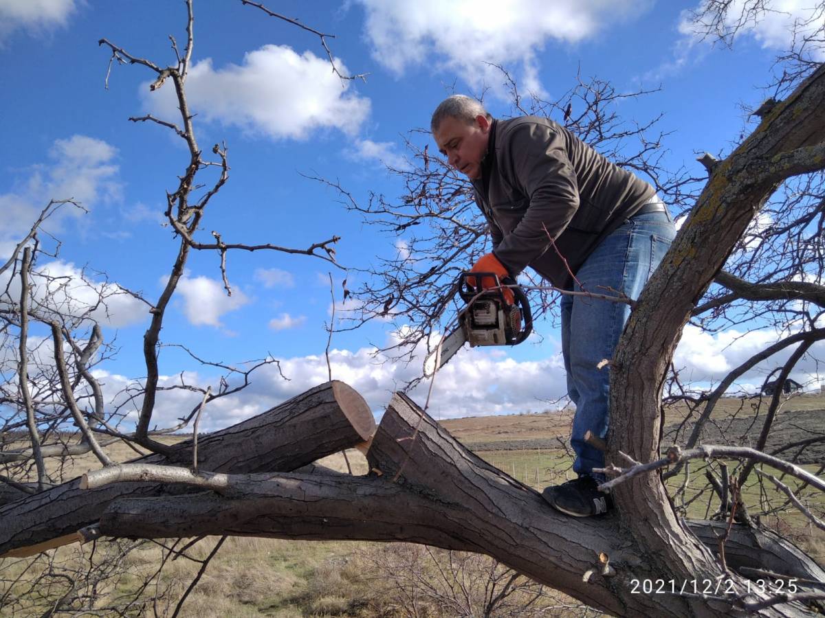 Депутаты-единороссы убрали дерево, упавшее на гараж во время шторма