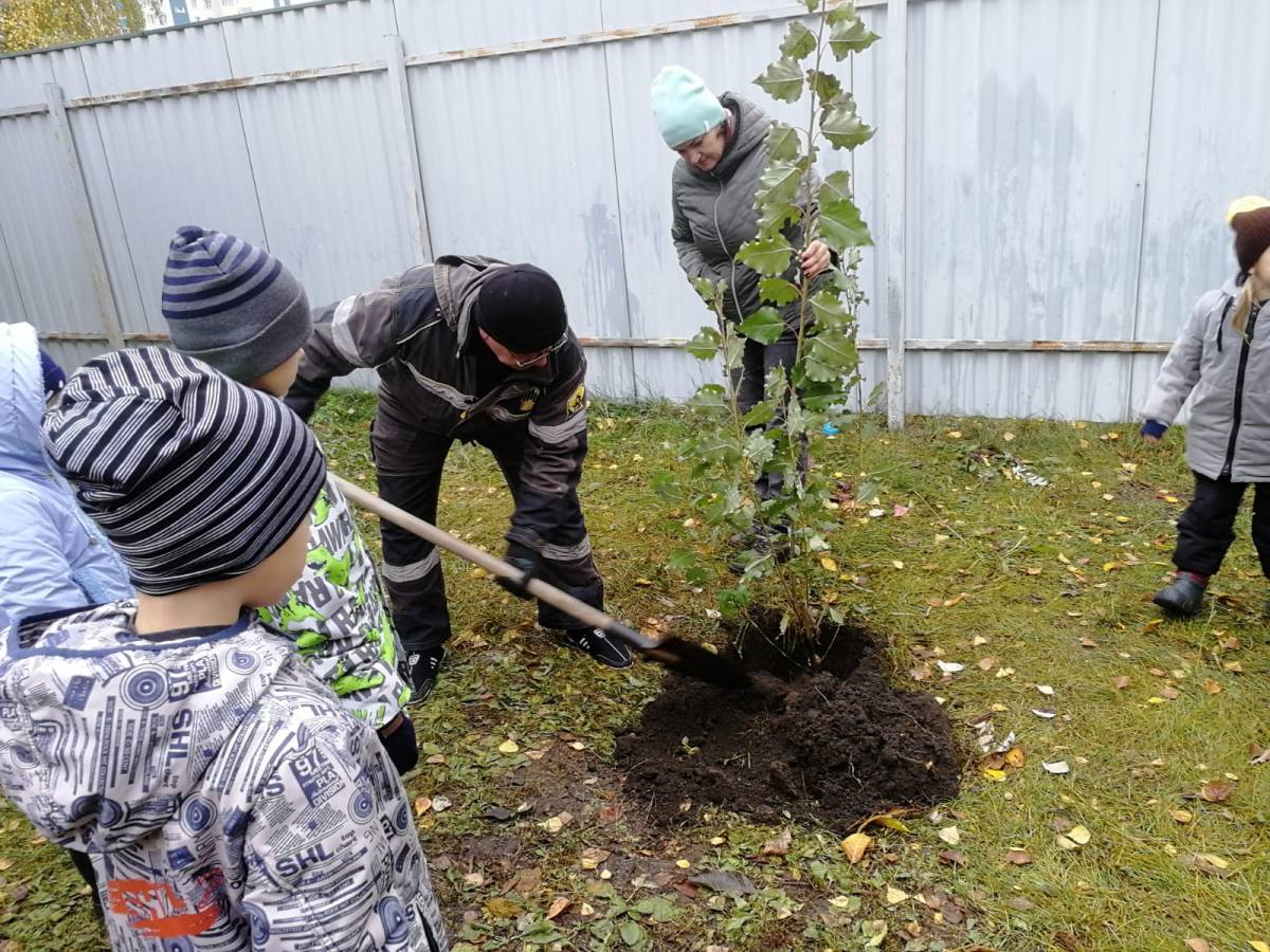 Экологический проект «Сохраним легкие Барнаула» реализовали в школах города