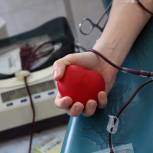В Волгоградской области в рамках акции «Волонтеры-доноры» добровольцы сдали около 50 литров крови
