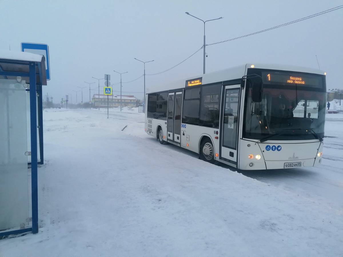 Качество дорожных работ в Лабытнанги под контролем активистов