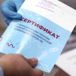 «Единая Россия» обеспечит защиту интересов людей при принятии законопроекта о медицинских сертификатах