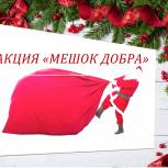 Партийные активисты Вичугского района запустили акцию «Мешок добра»