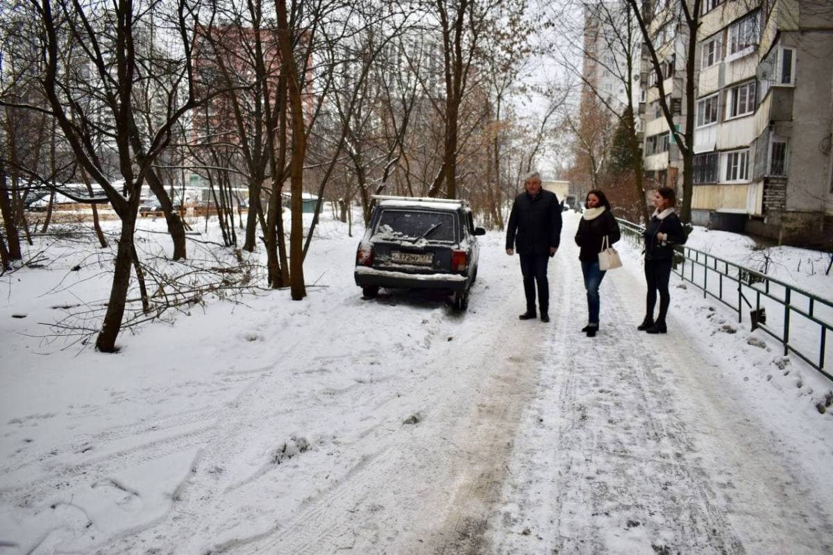 Тарас Ефимов окажет содействие в высадке деревьев и установке ограждения в  Балашихе