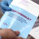 «Единая Россия» обеспечит защиту интересов людей при принятии законопроекта о медицинских сертификатах