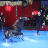 В Кабардино-Балкарии «Единая Россия» организовала посещение цирка для детей из Херсонской области