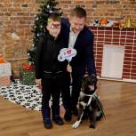 Петербургские единороссы собрали средства для бездомных животных в ходе новогодней благотворительной акции