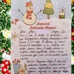 Депутат Мособлдумы Владимир Вшивцев исполнил новогоднее желание девятилетнего мальчика с Донбасса