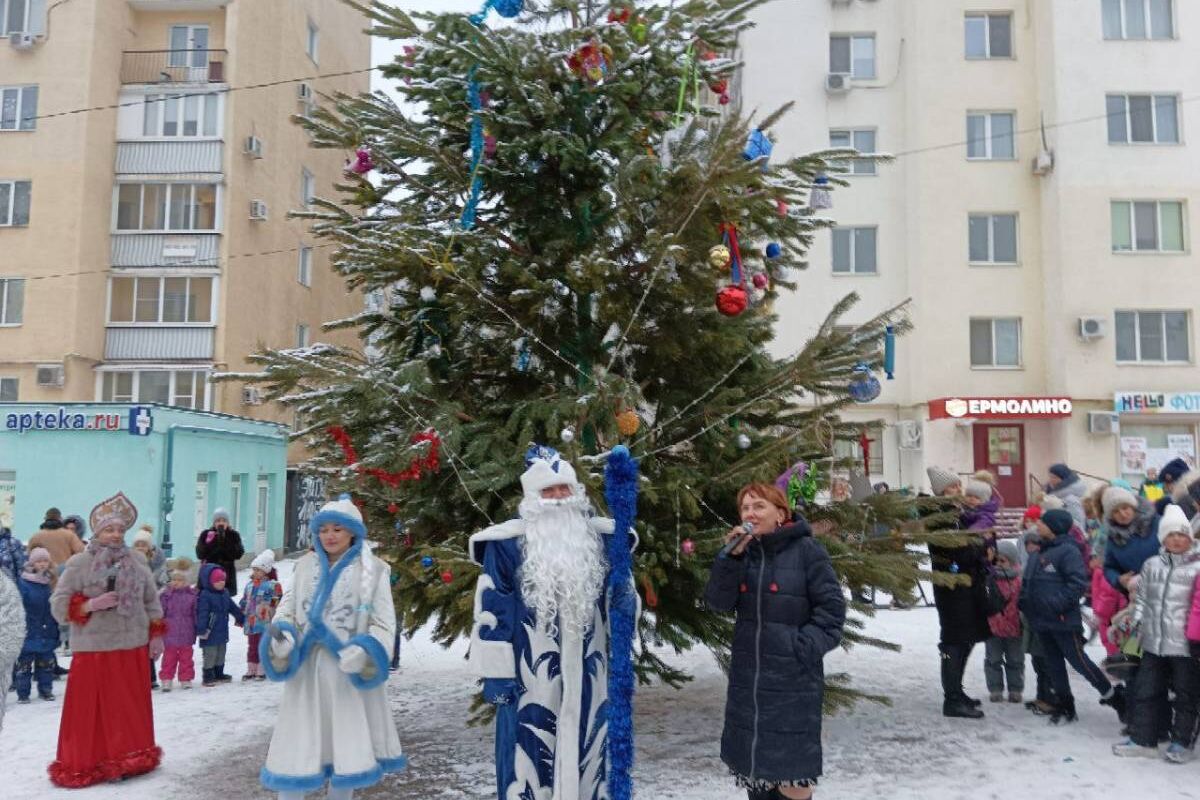 Активисты партии «Единая Россия» поздравила с наступающим Новым годом жителей Кировского района.