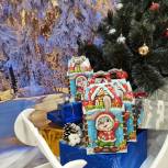 Новогодние представления, подарки детям и ветеранам: «Единая Россия» в регионе организует праздничные мероприятия