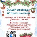 При поддержке «Единой России» в Вологодской области состоится детский конкурс «Чудеса на ёлке»
